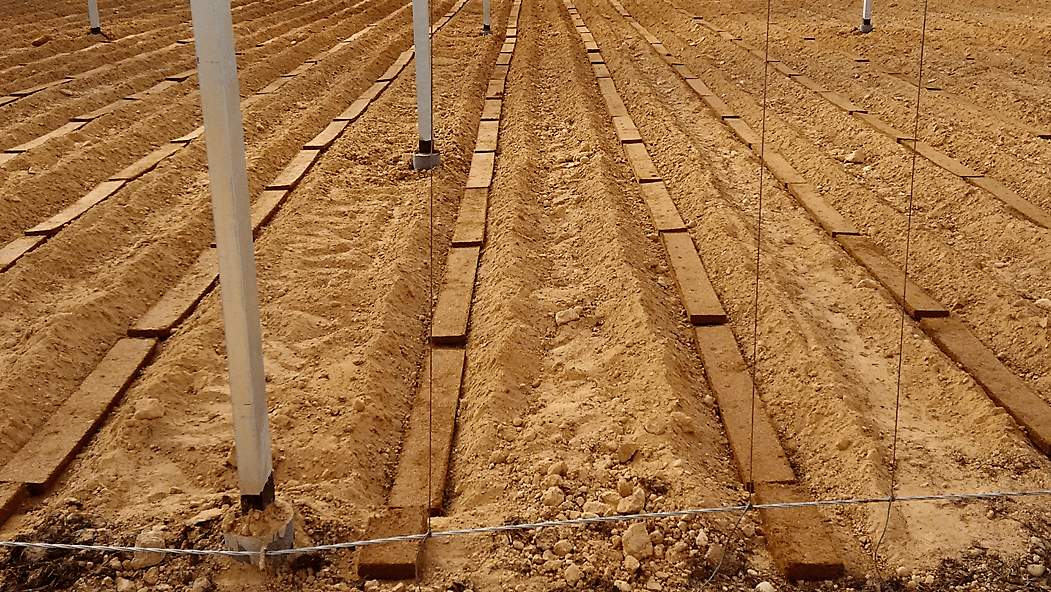 Caliplant-sistema-mixto-2|sistema_mixto-Caliplant